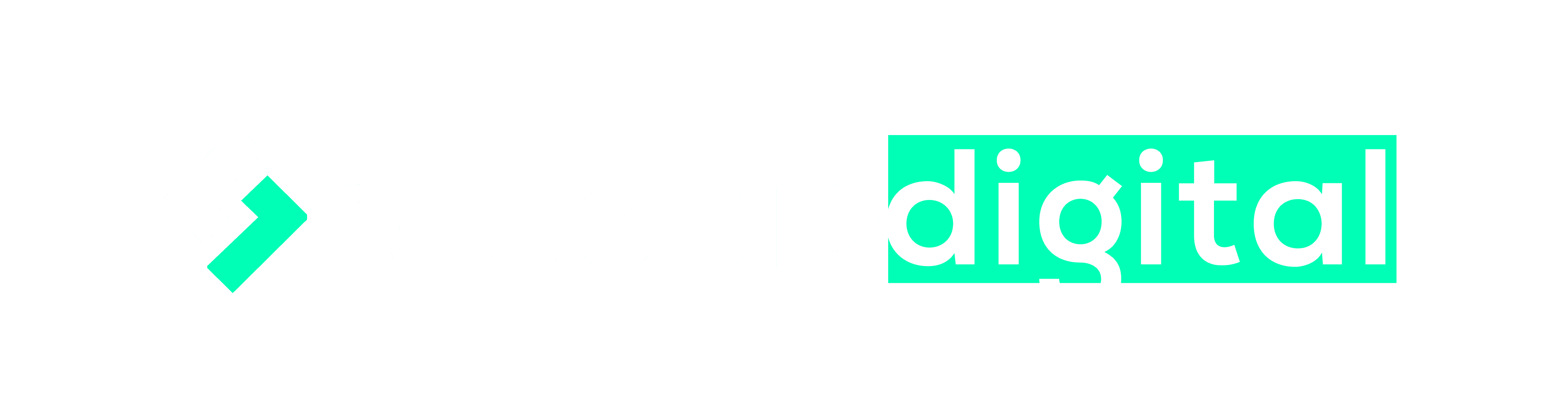 El Socio Digital